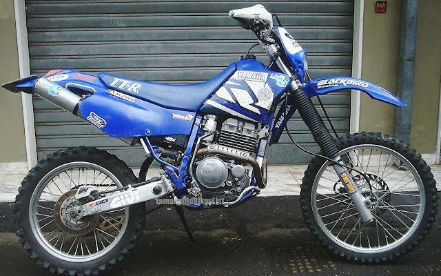 2001 Yamaha TTR250