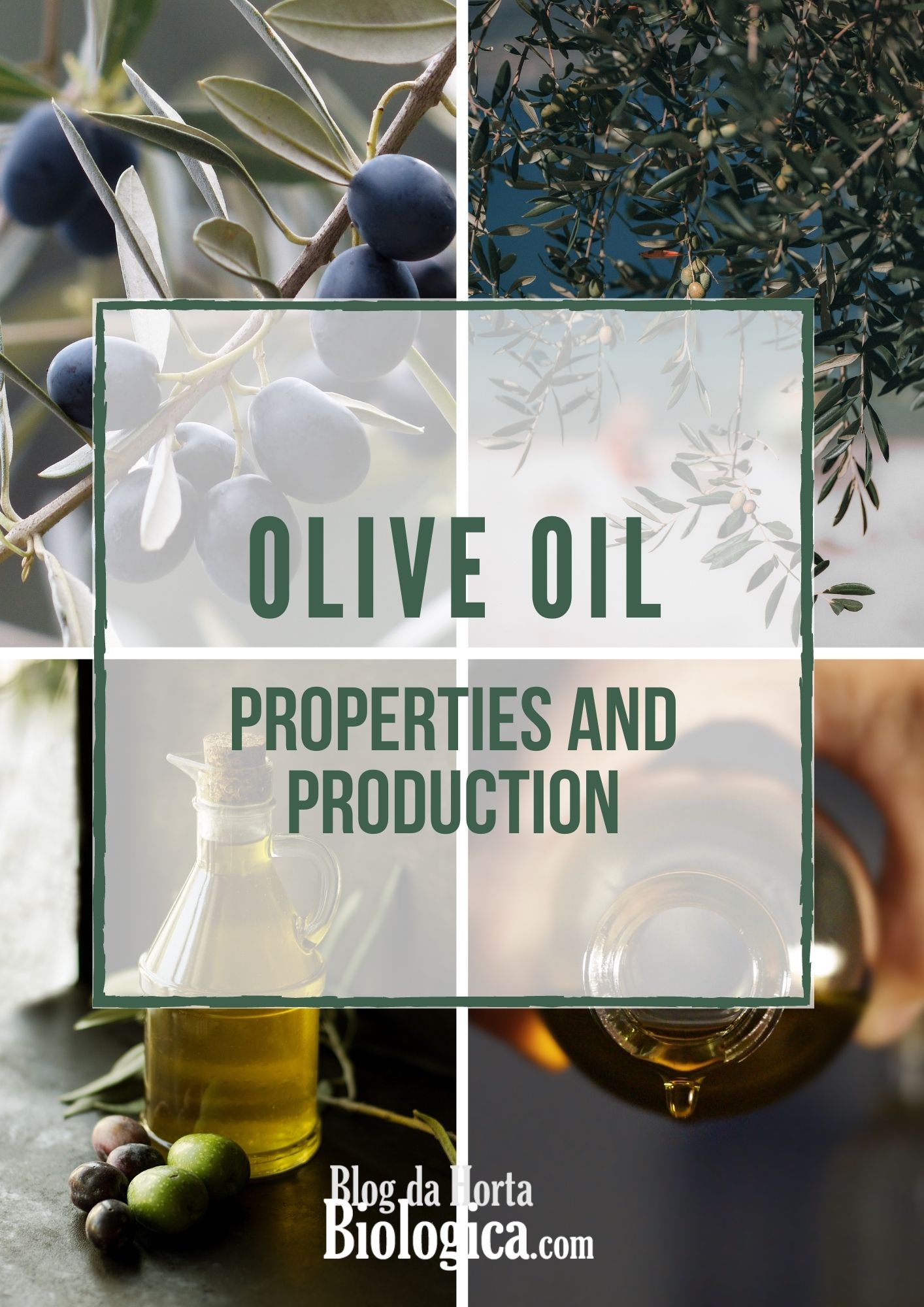 Properties and Production of Olive Oil