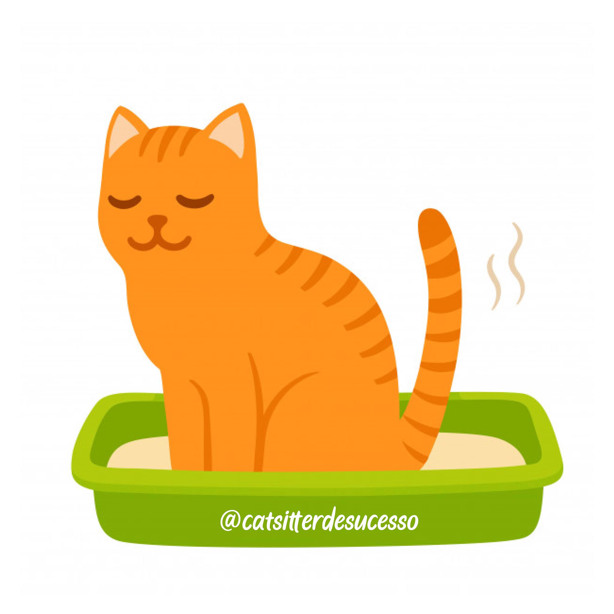 Por que o gato está fazendo xixi e cocô fora da caixinha?