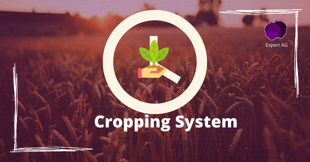 Cropping system Sole, Relay, Multiple Cropping
