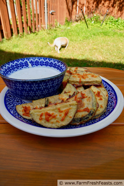 image of a plate of crispy baked eggplant chips with yogurt dipping sauce on a table in a yard, with a little dog in the background