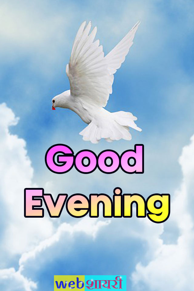 good evening Status wishes message , images , photos and pictures free