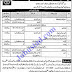 Jobs in University of Sargodha (UOS) Nov 2020