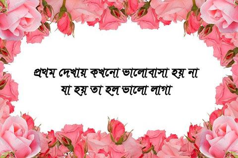 Bangla Love Picture