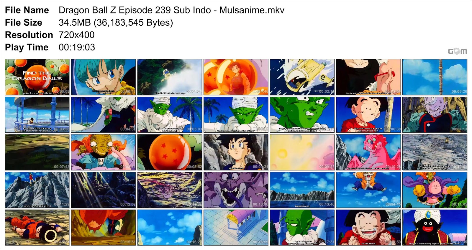 dragon ball z episode 239