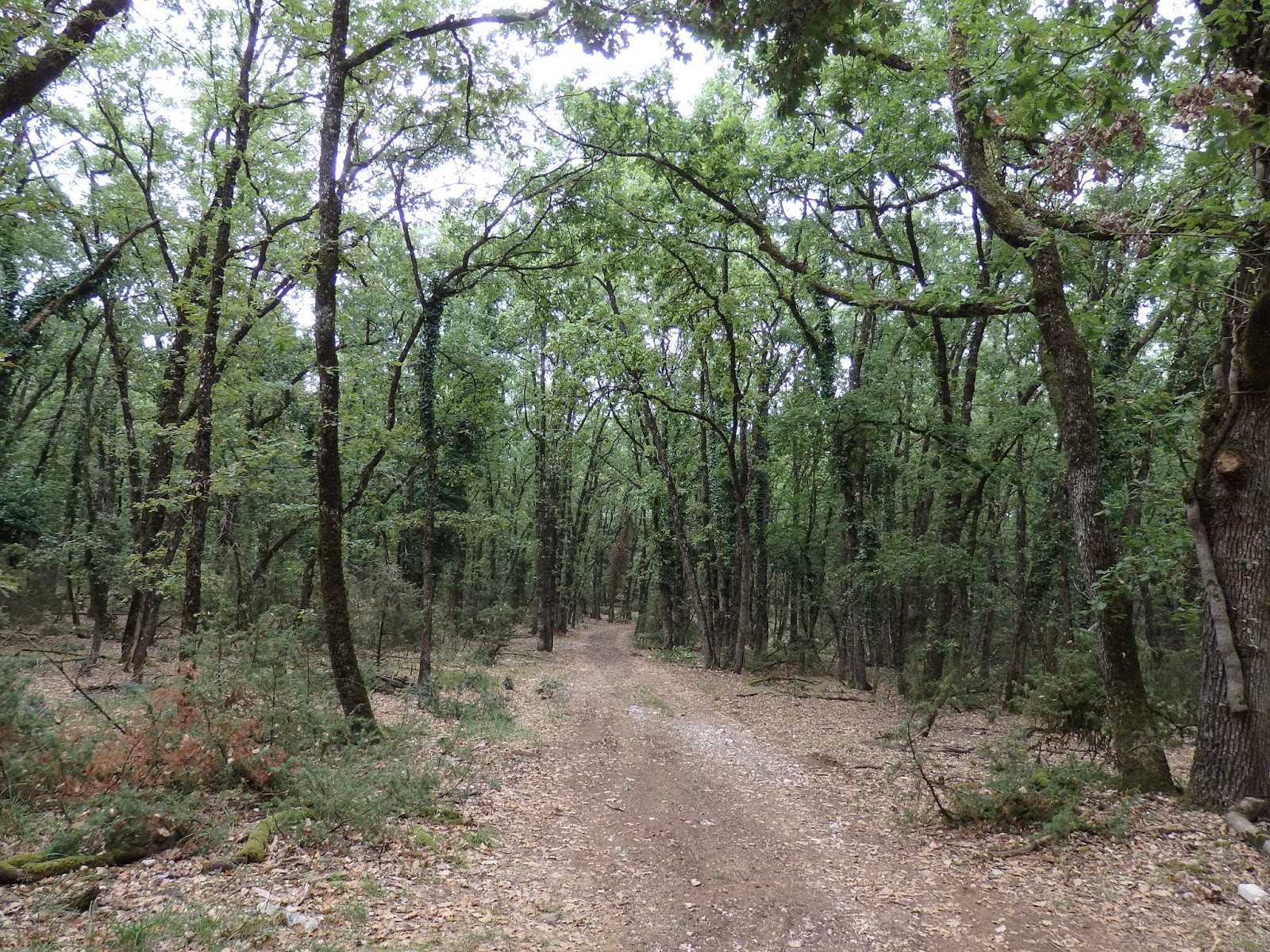 SaintAntoninNobleVal une nuit dans une bulle And so my dreams