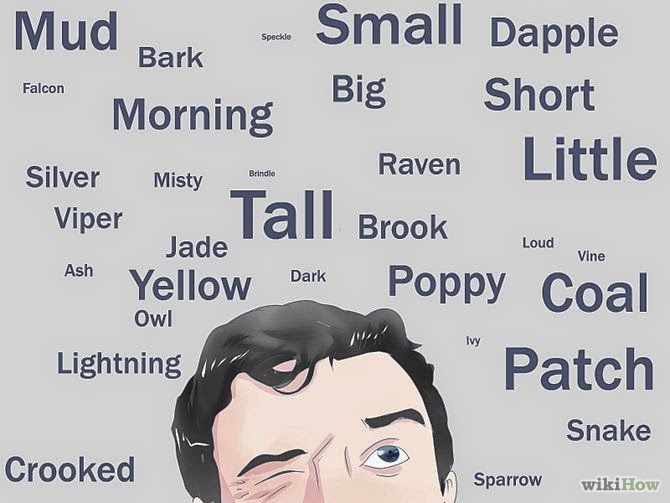Warrior Cat Names