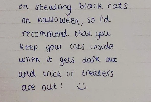 Black cat theft warning at Halloween is genuine and not a threat