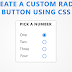 How to Make a Custom Radio button using Only CSS