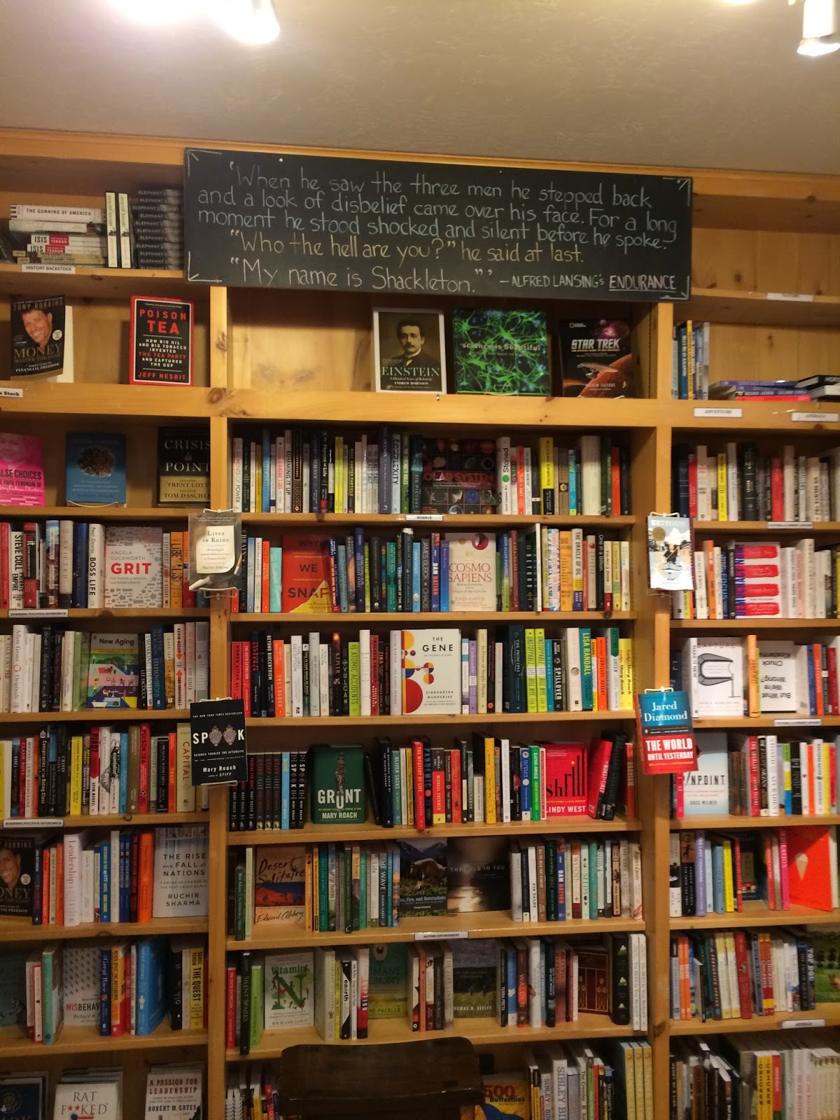 The Indie Bob Spot Dolly's Bookstore Park City, UT