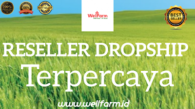 reseller dropship beras organik