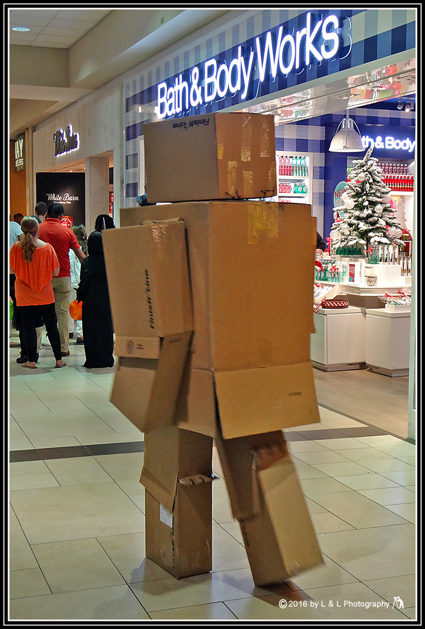 Ocala, Central Florida &amp; Beyond Halloween at the Paddock Mall