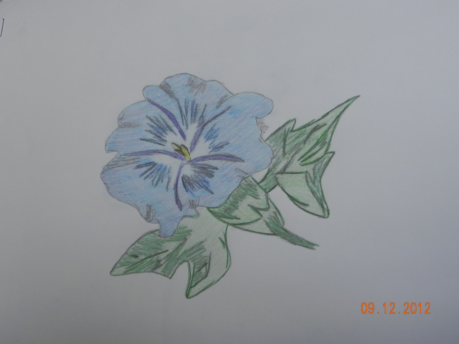 Art Pencil Drawings Flowers