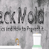 Black Mold Statistics & How to Prevent It #infographic