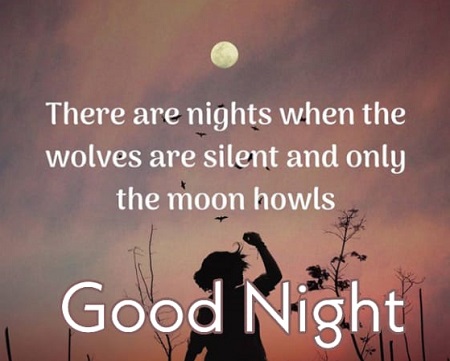 Best 25 Good Night Quotes in English || Good Night Quotes in English Best 25 Good Night Quotes in English || Good Night Quotes in English