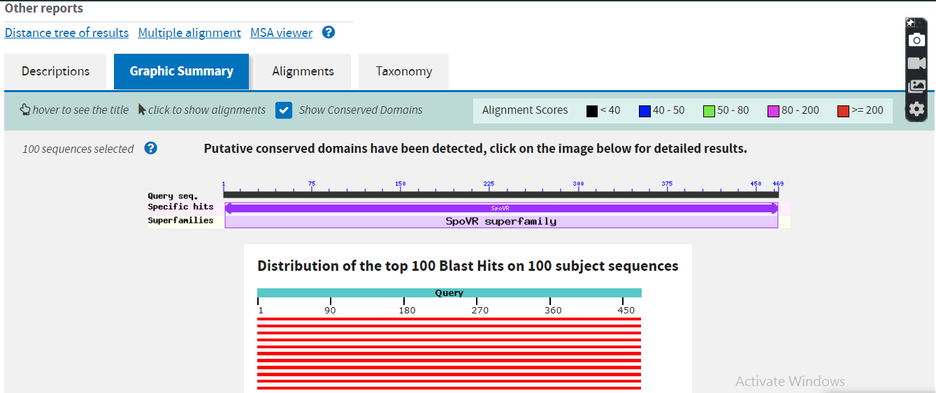 How to Convert nucleotide sequence into protein and perform BLAST on it