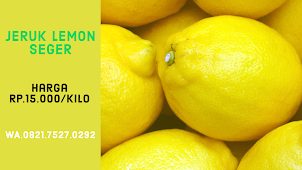 Jeruk Lemon