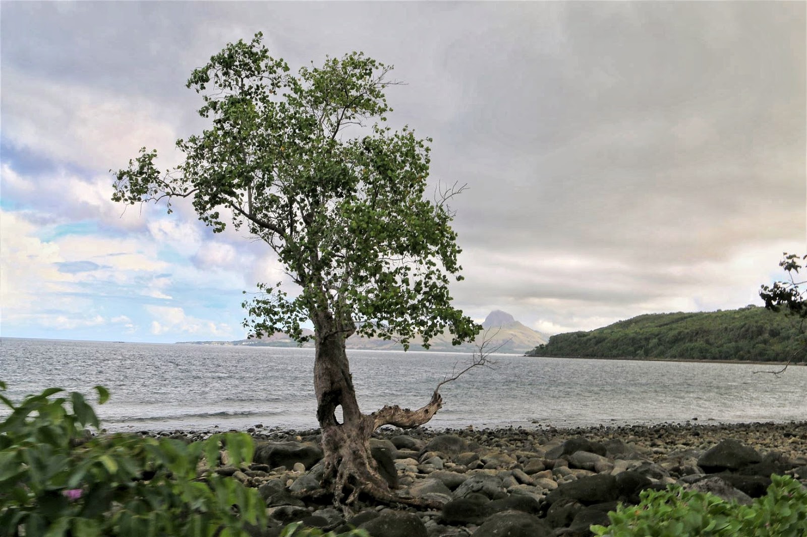       Pantai sepanjang Satar Mese      