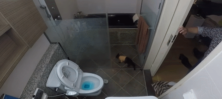 %25ED%2599%2594%25EC%259E%25A5%25EC%258B%25A4.gif