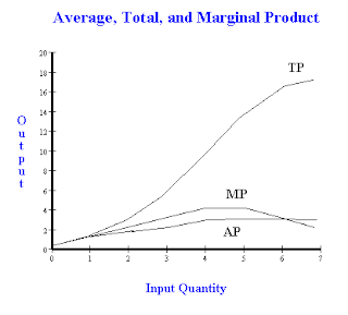 Economics Applied 1: Total , Average and Marginal product relationship