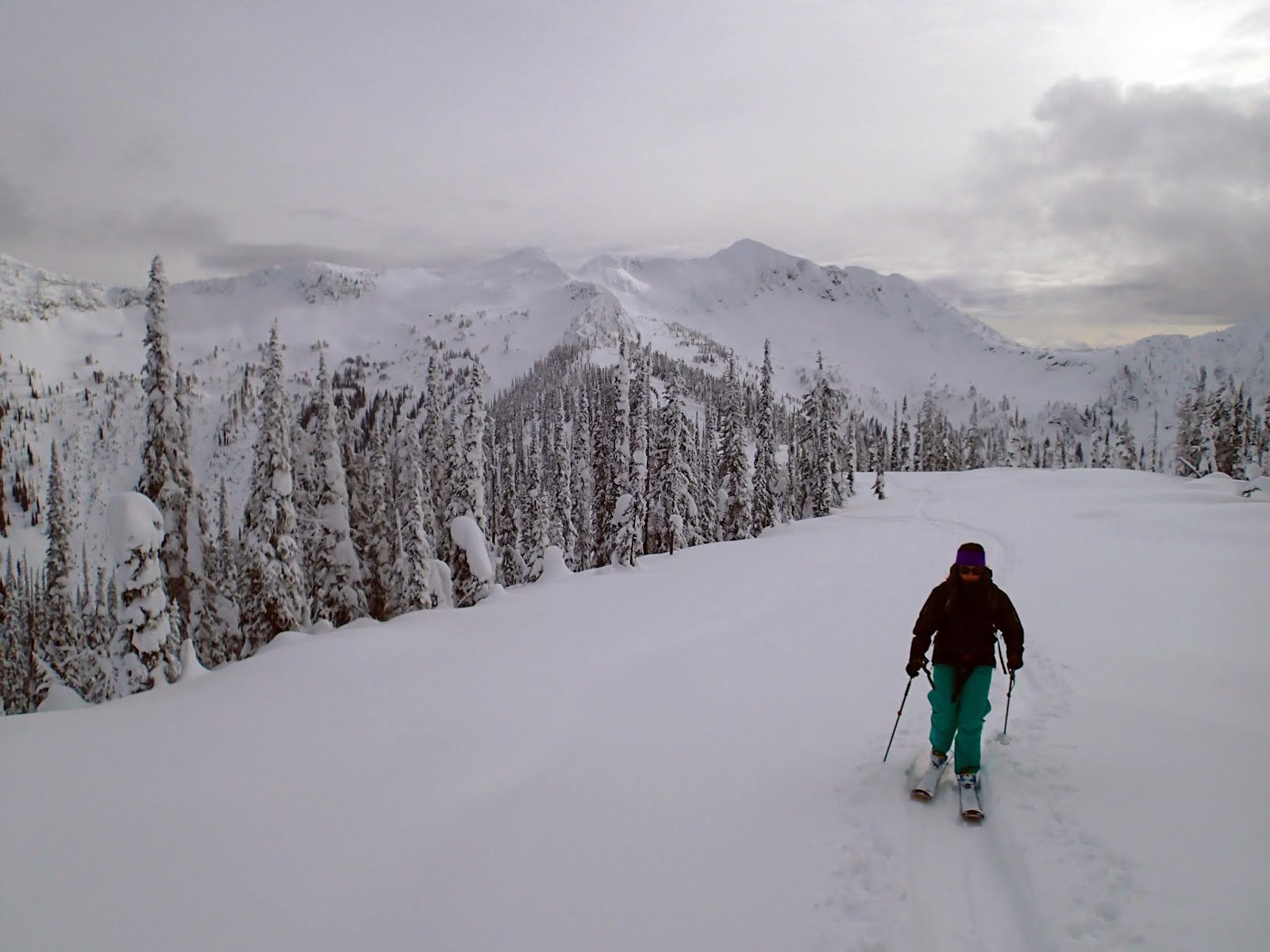 The Powder Highway Steve Weiss Mountain Enthusiast