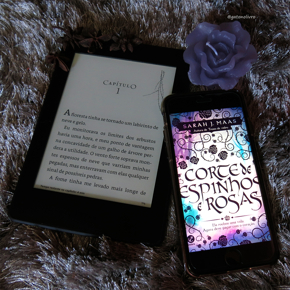 Gato no Livro Corte de Espinhos e Rosas (Corte de Espinhos e Rosas 1), Sarah J. Maas Gato no Livro Corte de Espinhos e Rosas (Corte de Espinhos e Rosas 1), Sarah J. Maas