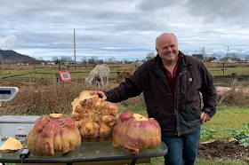 Canadian gardener's 63.9-pound turnip breaks Guinness record