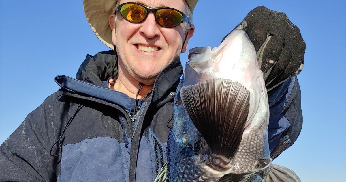 Rhode Island Striped Bass Buzzards Bay....Nothing Like it in NE!