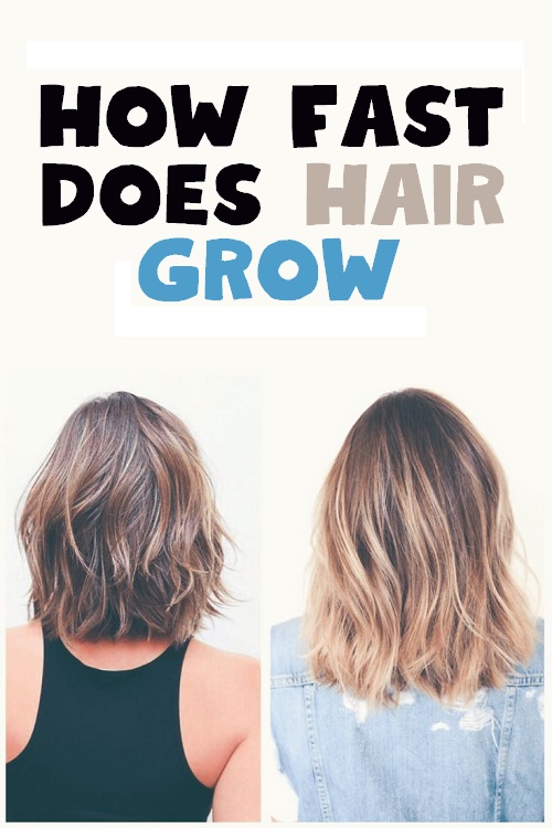 How Fast Does Hair Grow? Charlotte Moore