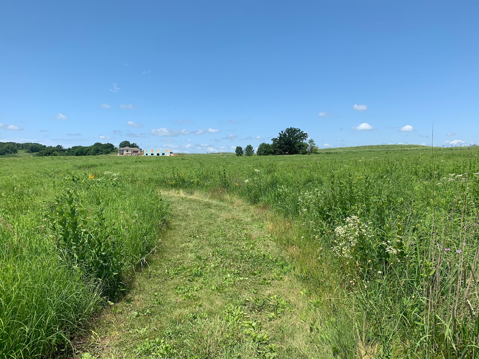 Retiring Guy's Digest UPDATE Bay Farm and Prairie