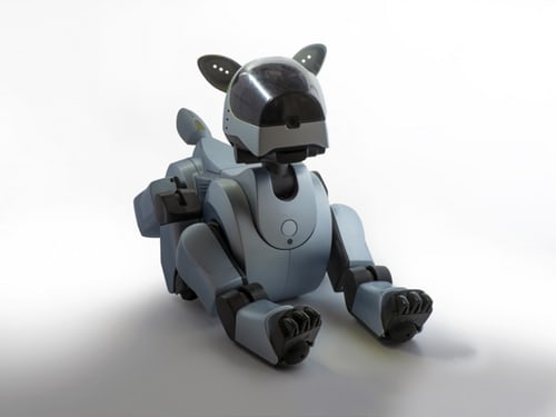 AIBO人工智慧機器狗真的有辦法取代真實的狗嗎?