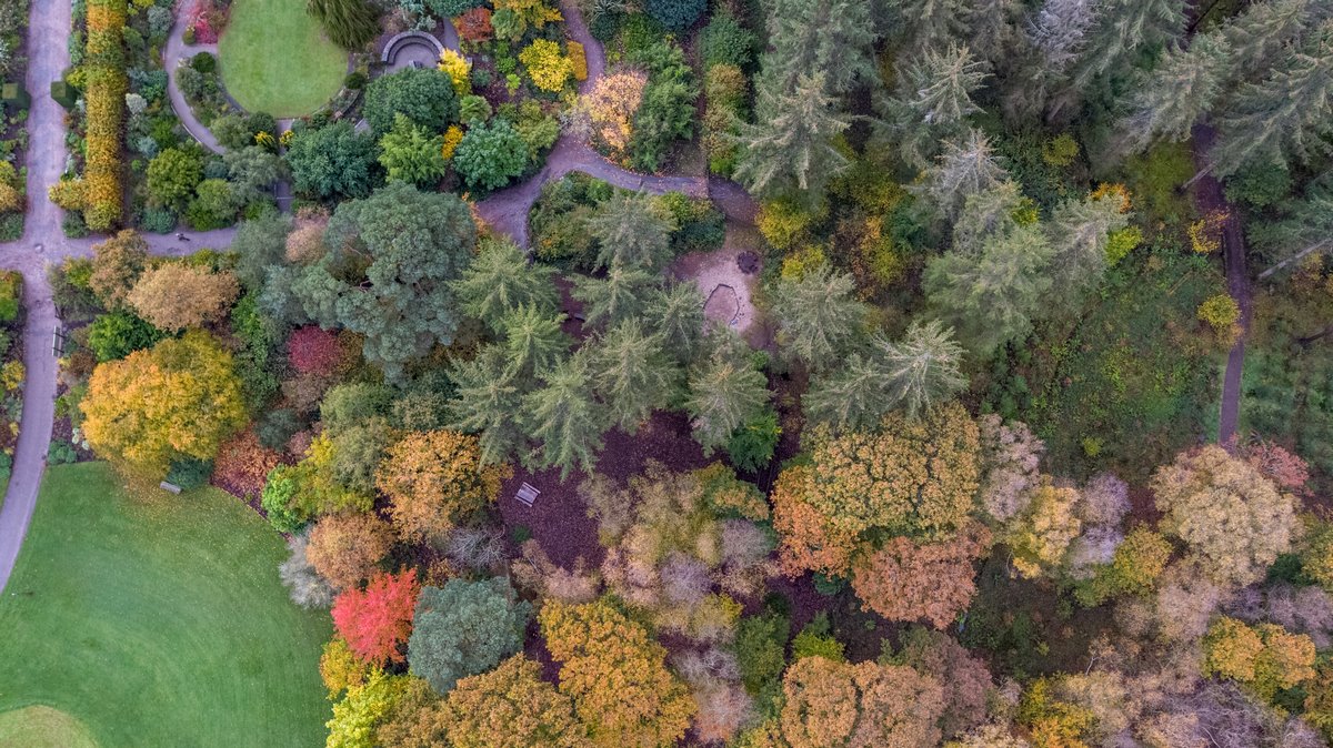 Un otoño seco y caluroso: que no nos pille desprevenidos en el jardín