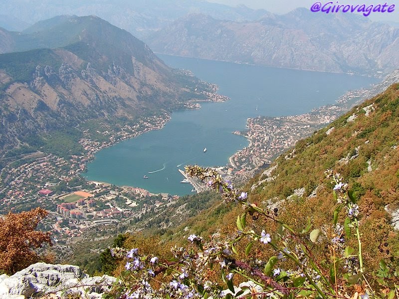 bocche cattaro fiordo Montenegro