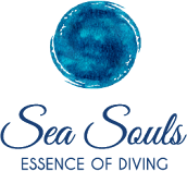 Sea Souls Diveresort Bangka island