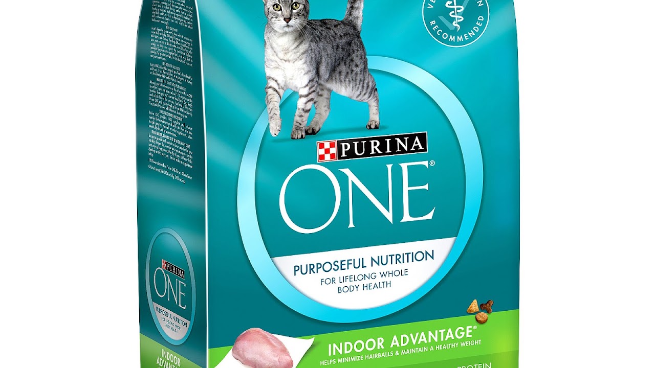 Purina One Beyond Cat Food Review Cat Choices
