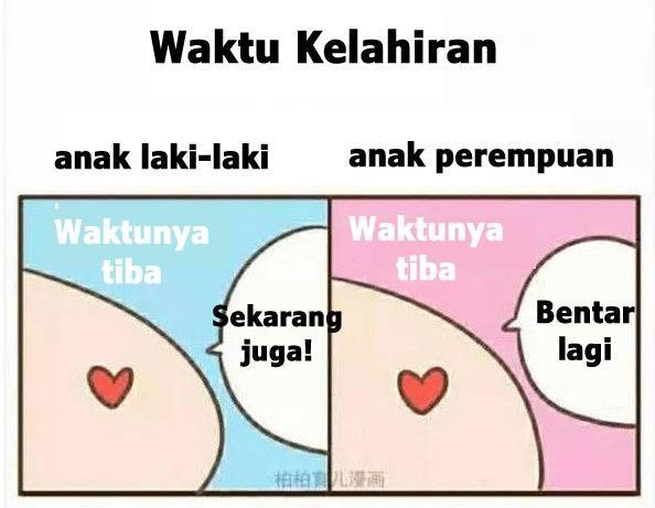 Gambar Perbedaan Bentuk Perut Hamil Anak Laki Laki Dan Perempuan