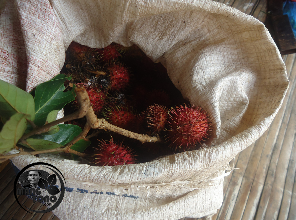 6+ Arti Mimpi Makan Buah Rambutan Besar