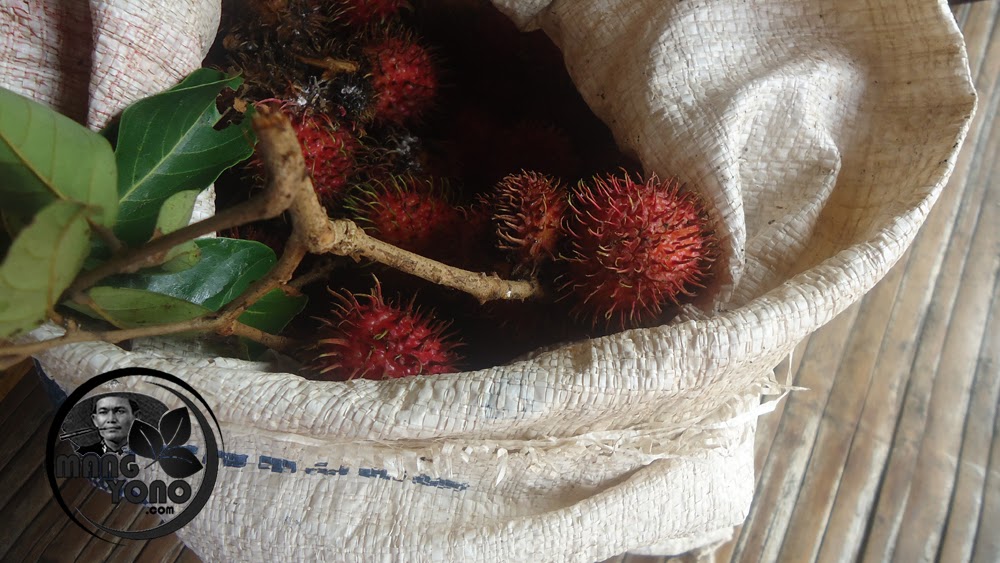 Arti Mimpi Mengambil Makan Buah Rambutan Arti Mimpi Mengambil Makan Buah Rambutan