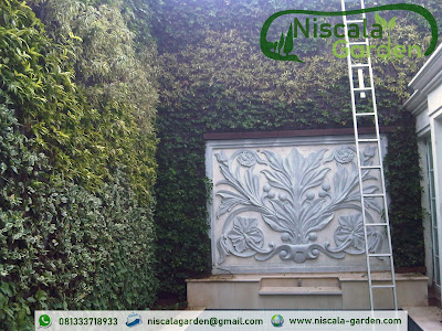 Tukang Taman Vertikal Pasuruan