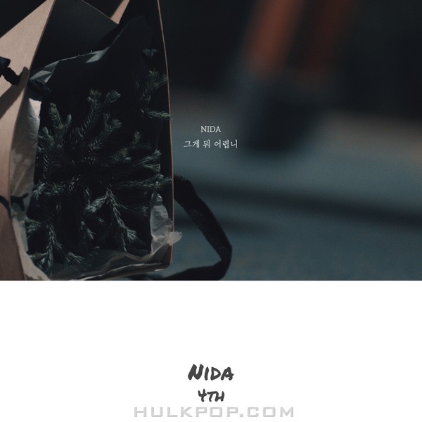 NIDA – Please Love Me – Single