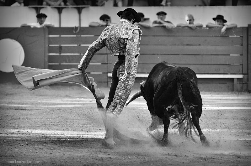 PhOtAuRiNeS Plaisance du Gers Novillada sans picador