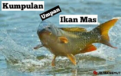 umpan ikan mas