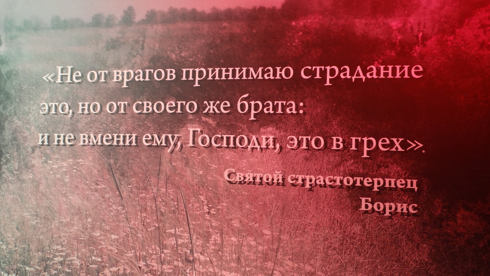 бодров сергей сергеевич брат. преподобный антоний и феодосий в живописи. предательство брата цитаты. братья ярослава мудрого. ярослав мудрый сын владимира братья.