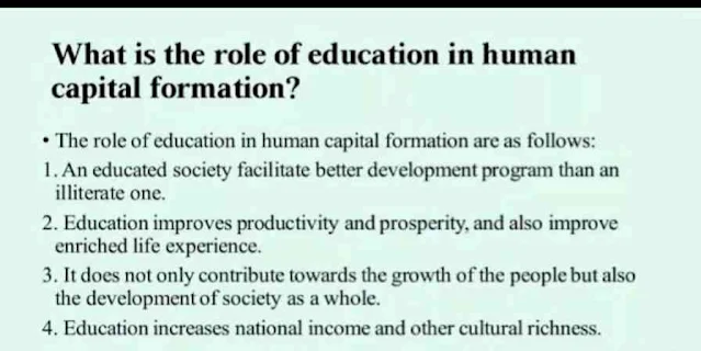 What is the Role of Education in Human Capital Formation?