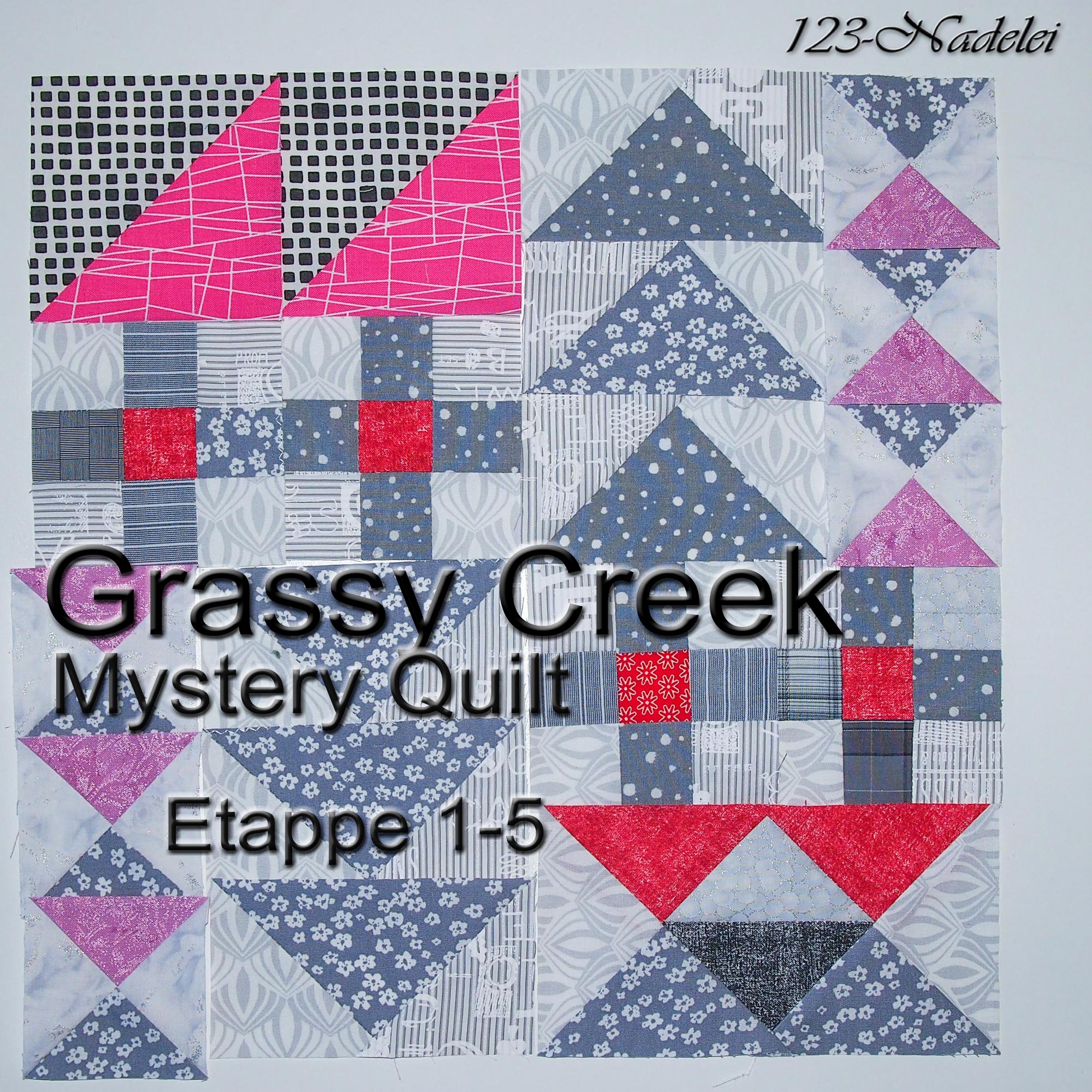 123Nadelei Grassy Creek Mystery Quilt Top