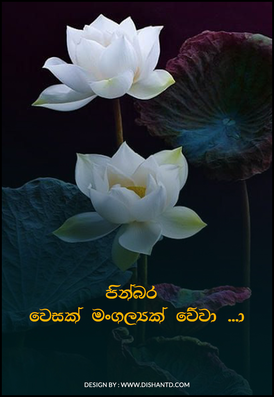 Sinhala Wesak Cards Sinhala Vesak Cards Sinhala Wesak E Cards Images