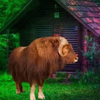 Play WowEscape-Musk Ox Forest Escape