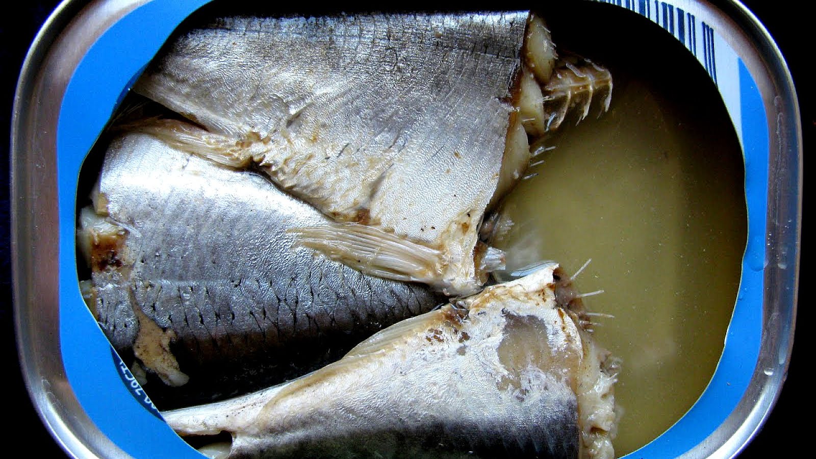 Protein In Sardines In Water Protein Choices
