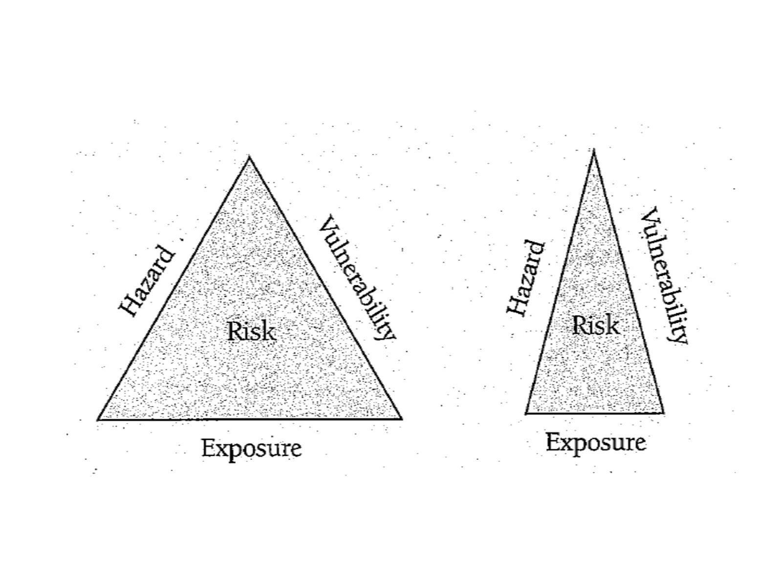 Enthumematon - ἐνθυμημάτων: What is risk?