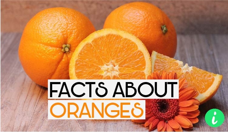 Oranges Facts